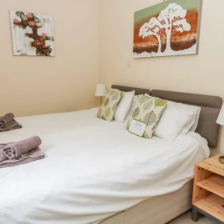 Fern House 度假居